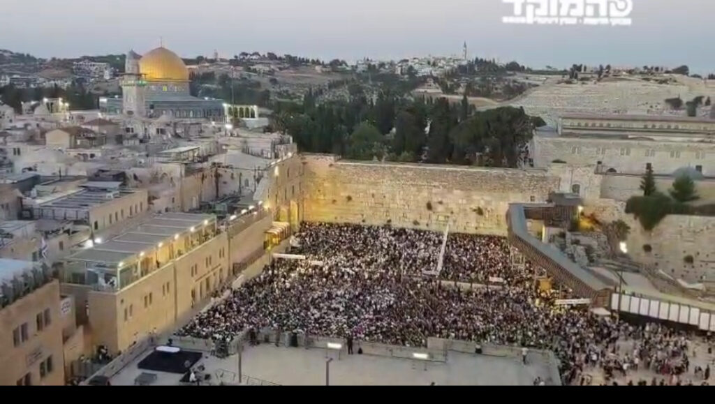 מוצעת שותפות בהקמה והפעלת מגדל יוקרה בשימושים מעורבים – הצעת השקעה