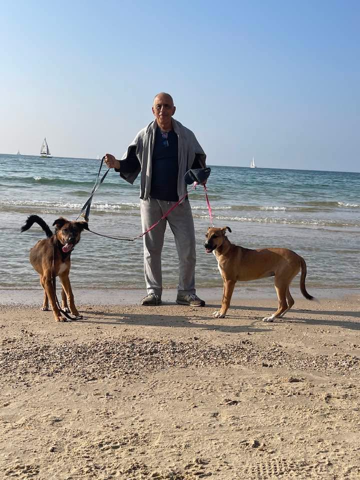 • A land plot for hotel and residential use is offered for sale on the Tel Aviv waterfront