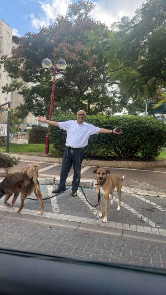 מחפש לרכישה: קרקעות בשטח גדול.