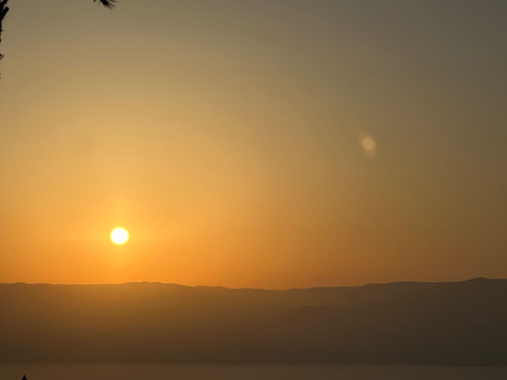 מוצע מגרש בשטח 4 דונם לשיתוף פעולה.